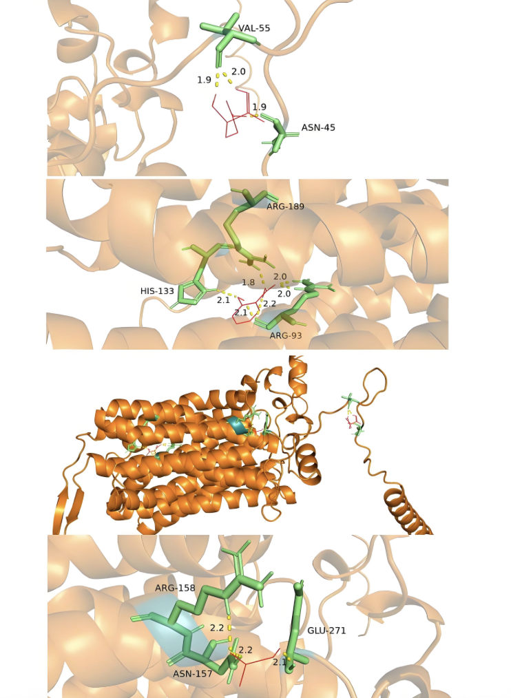 分子间相互作用